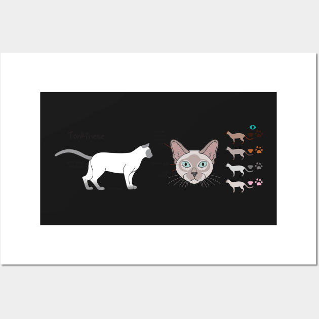 Tonkinese mug Wall Art by Cedarseed